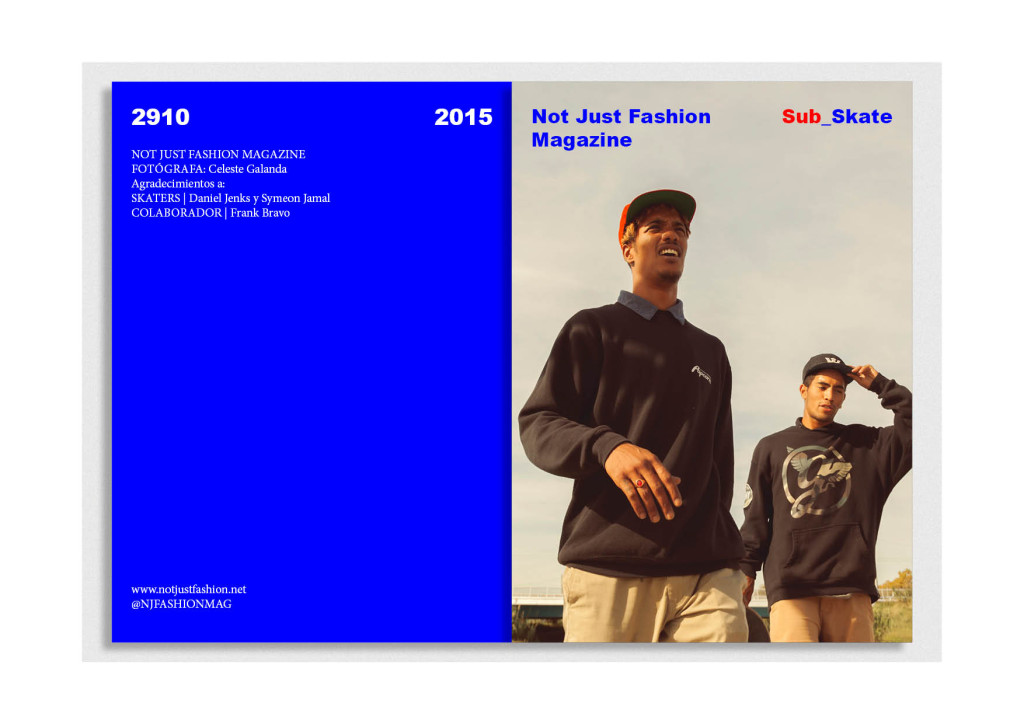 NJF Mag-Skate-ES 1