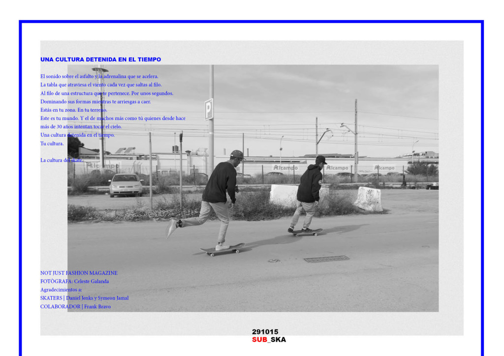 NJF Mag-Skate-ES 2